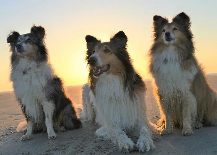 Feriehus Mosselbank 22, Loopafstand Vp070 *