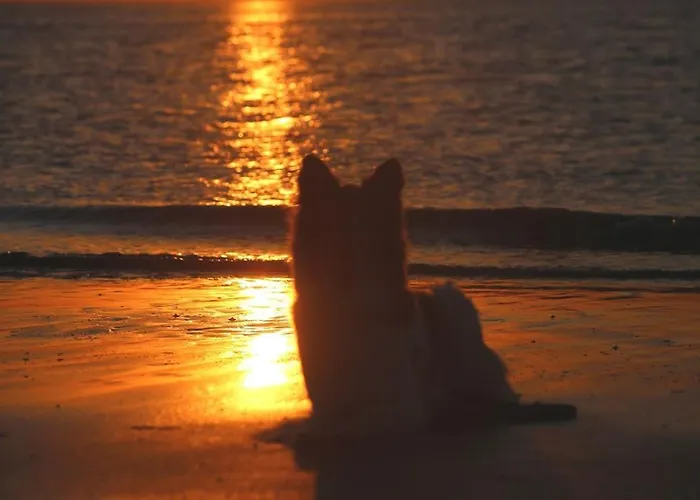 Mosselbank 22, Loopafstand Vp070 *